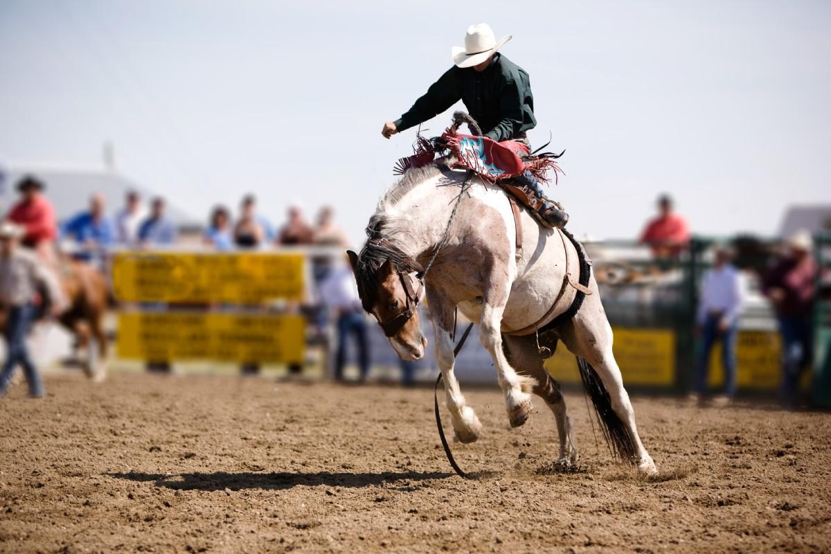 ACLPI files lawsuit against Prescott Rodeo appropriation